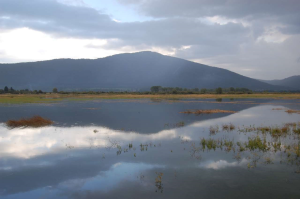 New_Cerkniško Jezero (3)
